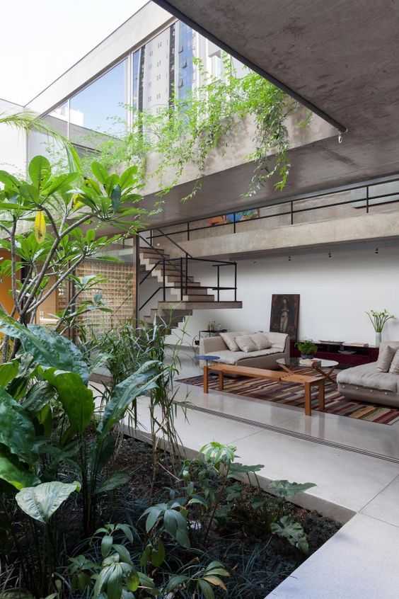 plantas en una casa